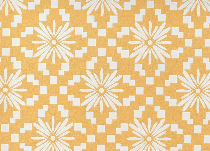 Imitation Wood Grain Pattern Printed PPGI Coil TNG018YP